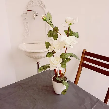 L'elite Del Centro Storico Bed & Breakfast